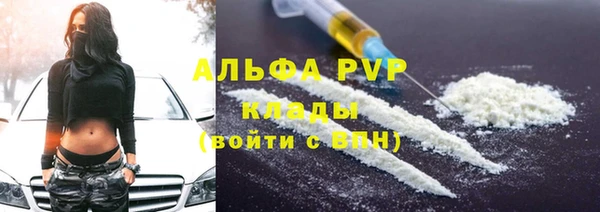амф Белокуриха
