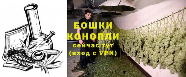 амф Белокуриха